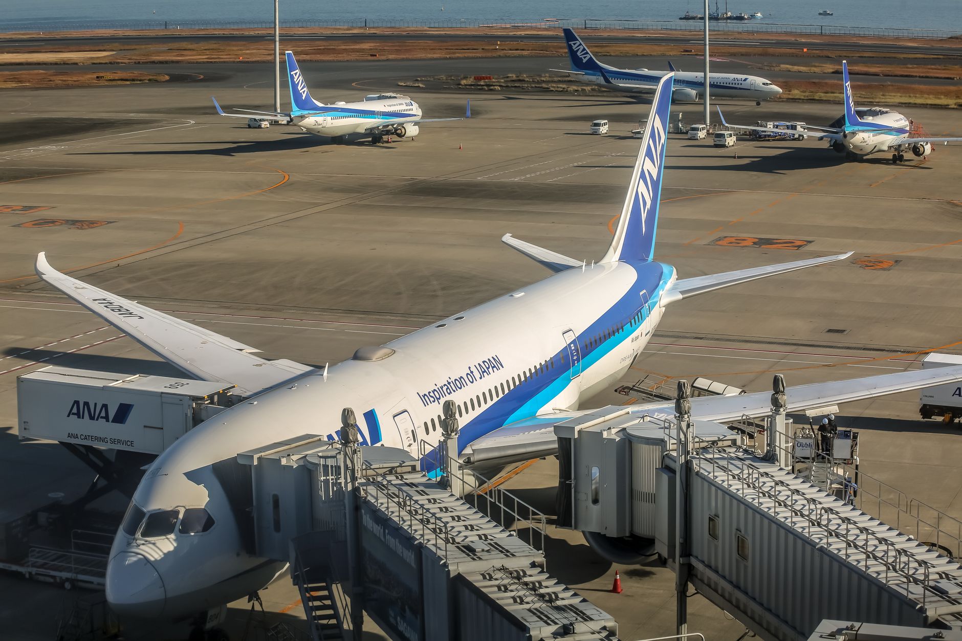 Airport operators own airlines: A Smart Move for Growth